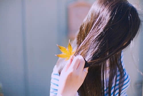 2013˸˵˵ȫ ˵Ļ ǳ