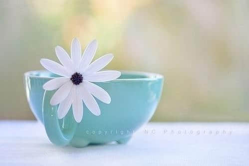 㿪ĵ˵˵ ΪйڣͰҵڹ