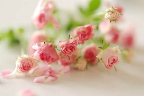 ʫ Ӱ˼Σ˼бб޻