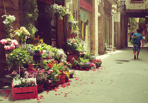 2013qqռ˵˵ȫ صķ羰