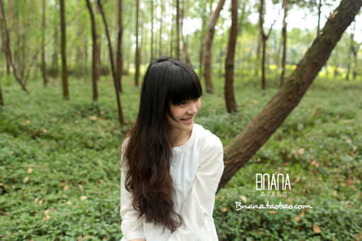 2013иԵ˵˵ȫ Ƿ׼,Ҫ۵֤