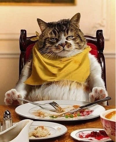 ʵĸЦ˵˵ һЦΪǮ
