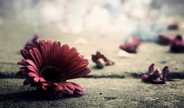 ۿԿռ˵˵ ǳȦ ҶԵ