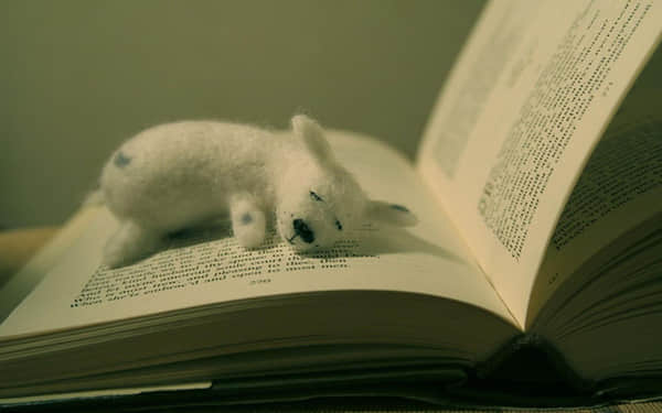 qqռ˵˵ͼƬ  Ҹ