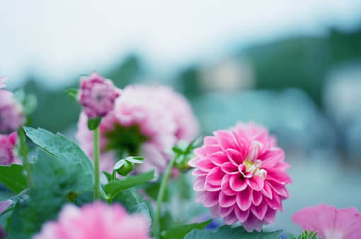ںqqռ˵˵ Ҫ Ҹ
