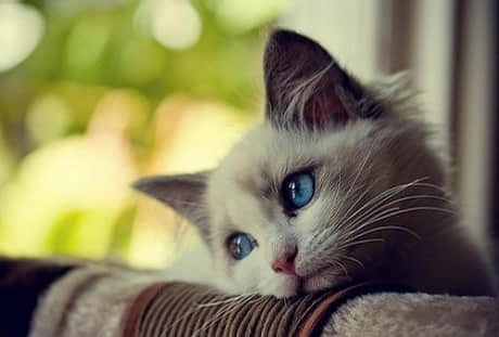 Ψ˸˵˵ͼƬ ˸пռ˵˵