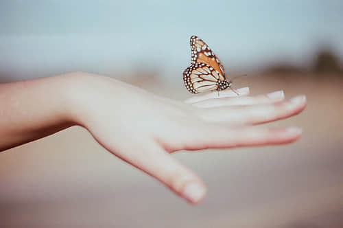 ˵˵ȫͼƬ  ƴĺֻΪ˸һ