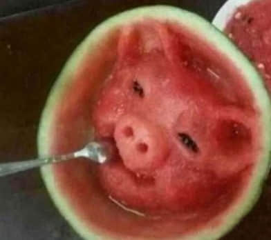 qqЦظ Ц˾ҪղŶ