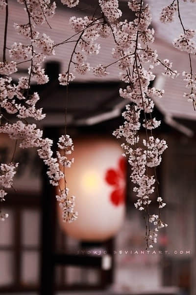 ͼƬ˵˵ȫ Ψ˵˵