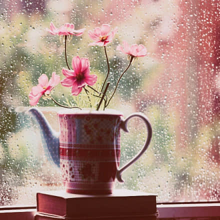 Ψ˵˵ͼƬ ֿͼƬ˵˵ȫ