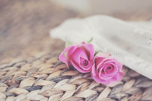 Ϧĸǩ ıרıˣ
