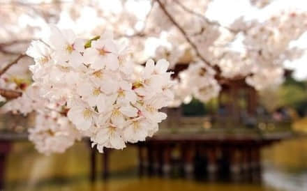30˵˵ȫ ˸пֻ̫ų˵ӱ