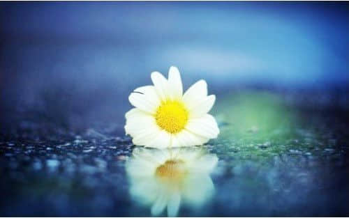 ڰ۵Ļ ˭˭˭