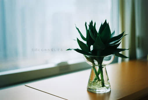 ʮ֪ ˵˵ȫ