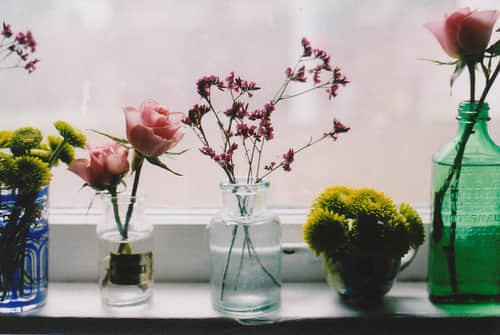 ˼˵˵ һԲ˭ǲȱ