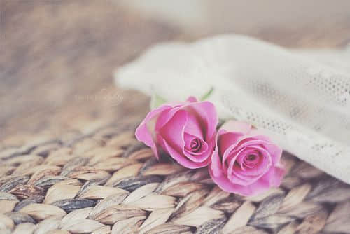˸еľ˵˵ Ҹôȥƣ 