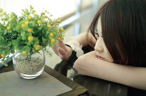 26ǿľ