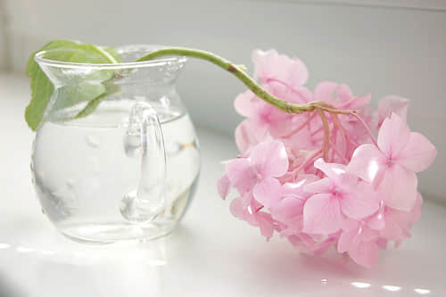 qq˵˵ȫ 첻˵ıϣڴת΢Ц