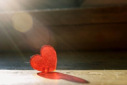 ȥĹܹΪ䣬ʹޡ Ψ˸˵˵