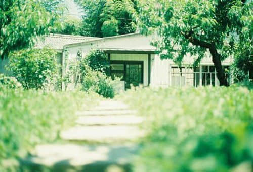 55侭䰮