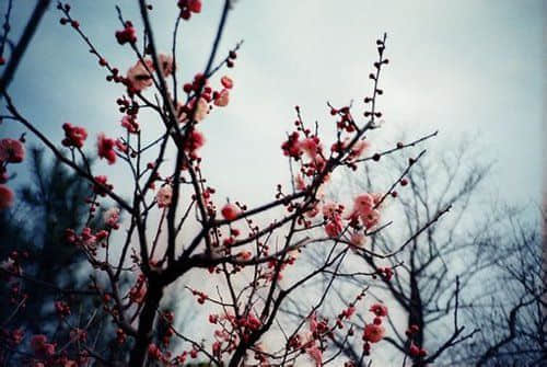 Ĭ˵˵ һЦĻȫ
