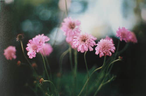 ʧ˵˵ лл䣬ƭ