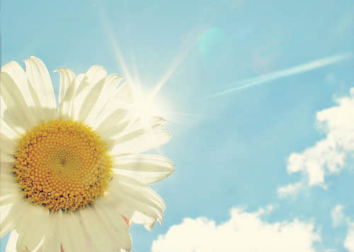һ˼į˵˵