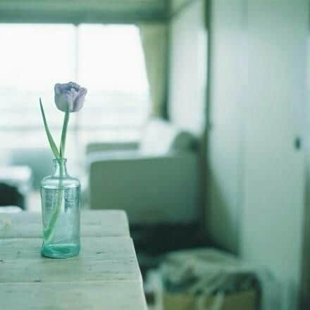 ˵˵һ మȴȴమ