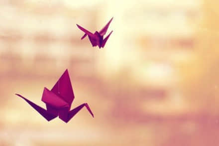 ˵˵ĺ¼  費Ҫʱ Ҷ