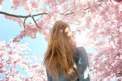 ˵˵ͼƬ ¹۵ĵΨͼƬ˵˵ ý3