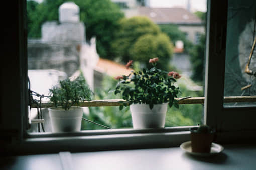ʹ˸˵˵ ûвһǲû