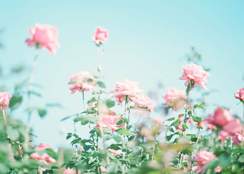 ڼ˵˵ ŵ