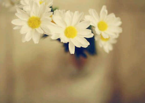 ˵˼ ллҵСҸ,Ⱦҵ硣