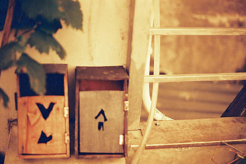 ֪ҹǿαװļǿ