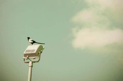 qq˵˵ȫͼƬ ͼƬΨռȫ3