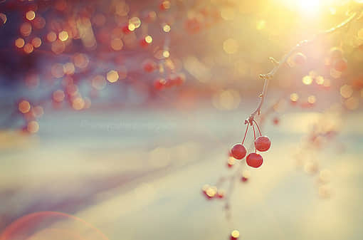 qq˵˵ȫͼƬ ͼƬΨռȫ7