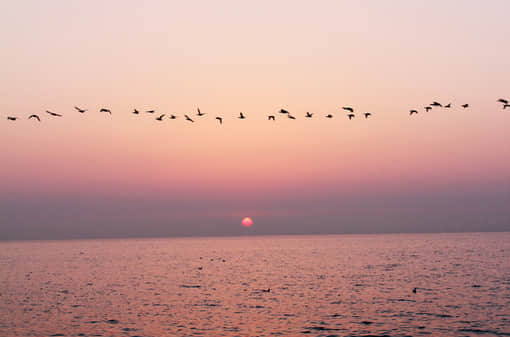 qq˵˵ȫͼƬ ͼƬΨռȫ
