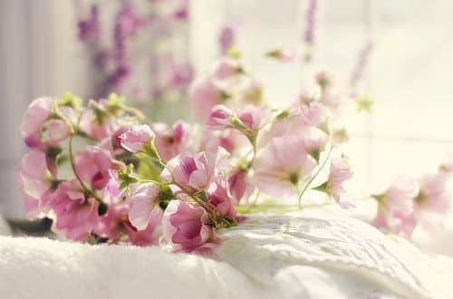 ˸ʫľ еӣѾԶԶһȥ