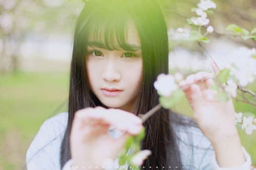 Ļ˸ж
