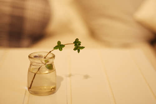 ˵˵ȫ2014°ĴͼƬ7