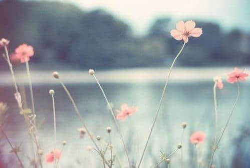 qq˵˵ͼƬ QQռͼƬ˵˵ȫ4