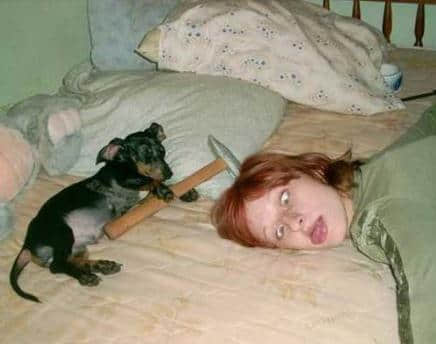 ȵĸǩ ȡյĸǩȫ3