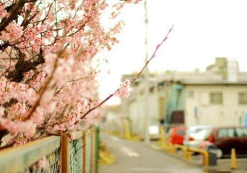 ˸˵˵ͼƬ°