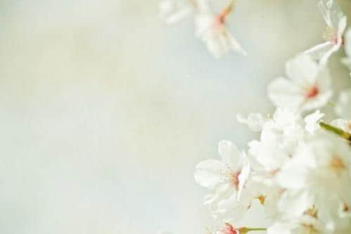 qqռ˸˵˵ͼƬ ˸ֿͼƬȫ3