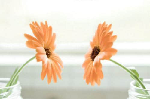 밮йصľ 飬ʱĳŻԵø3