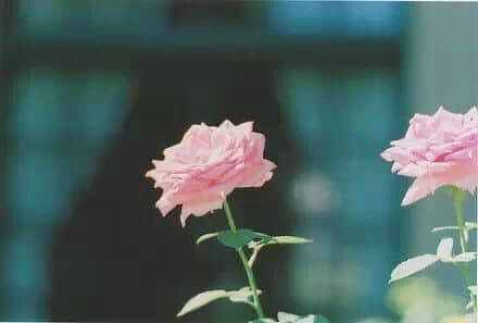qqǩ˸2