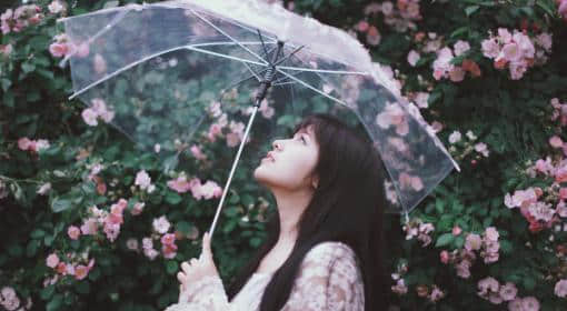 ʹľ УЩ˲䣬ů