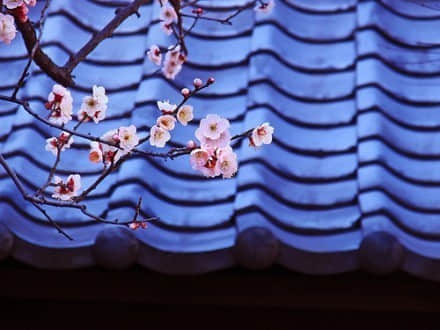 qqռ侭˵˵ȫ2