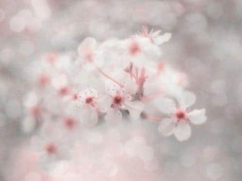 2014˸˵˵ͼƬ8