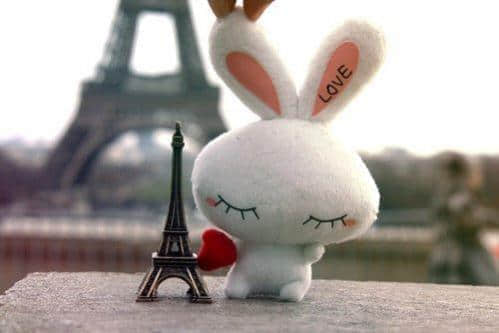 ֿͼƬȫ QQռ˵˵ͼƬȫ17